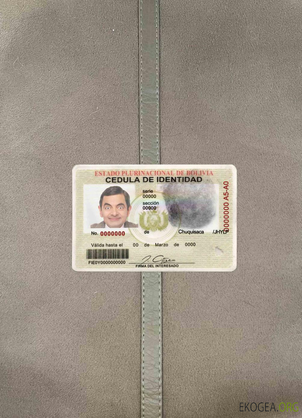 Photolook d'identité de Bolivie AVANT